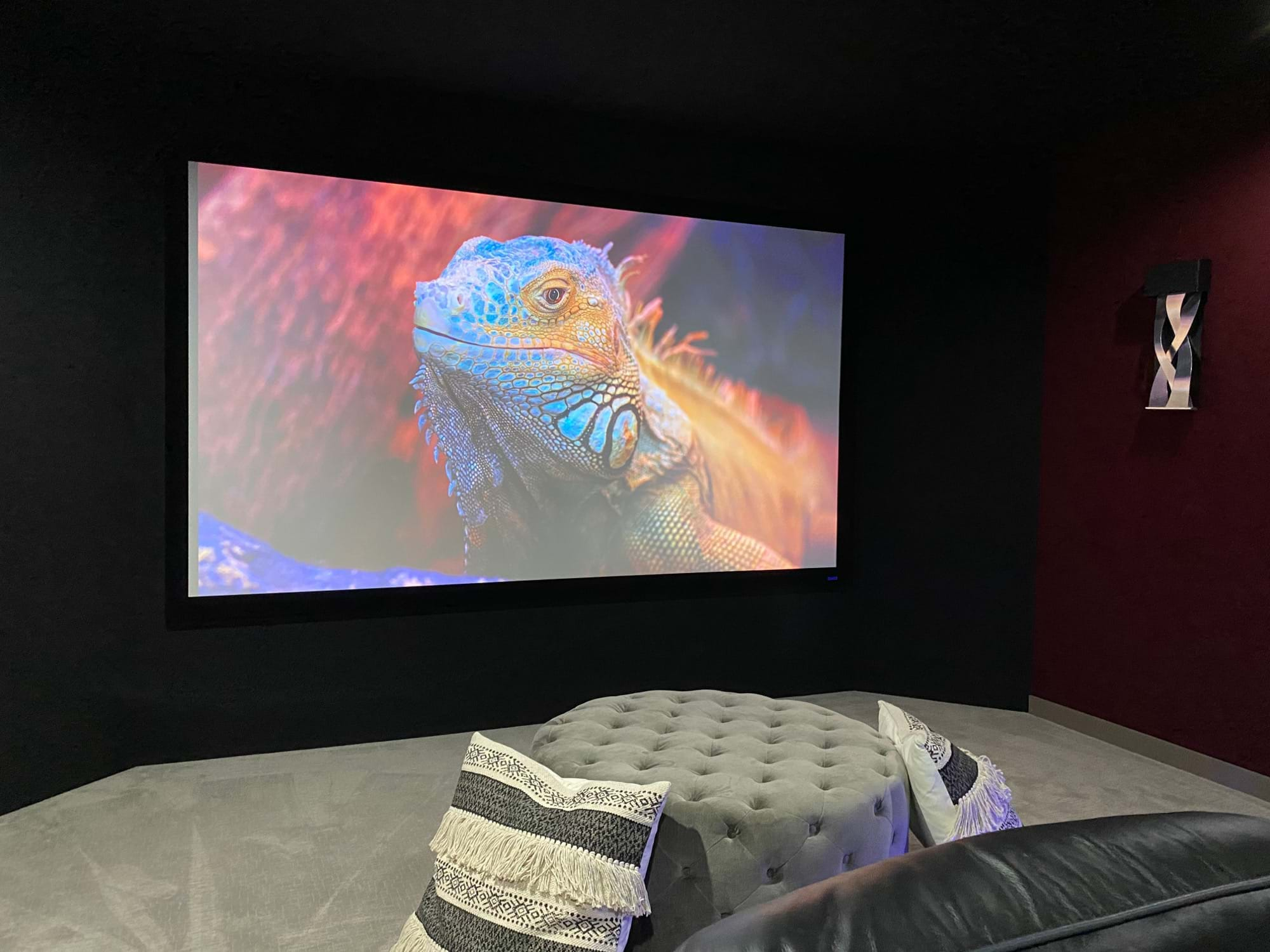 People watching a nature show on big theater screen